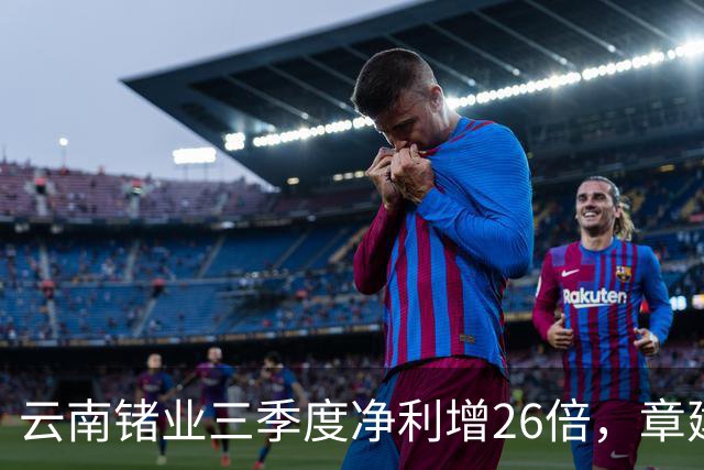 云南锗业三季度净利增26倍，章建平无惧回调逆市增仓近300%