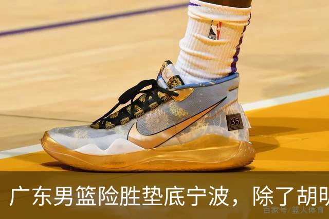 广东男篮险胜垫底宁波，除了胡明轩周鹏，其他本土球员还在梦游？