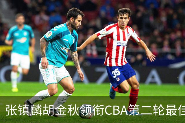 张镇麟胡金秋领衔CBA第二轮最佳阵容 付豪篮板称王