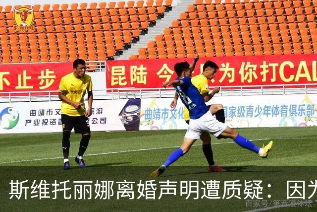 斯维托丽娜离婚声明遭质疑：因为战争就要离婚？别打球了去打仗吧