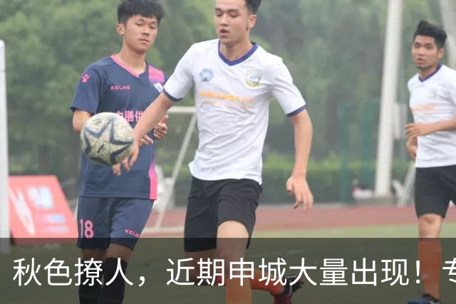 秋色撩人，近期申城大量出现！专家提醒：别摘、别捡、别吃