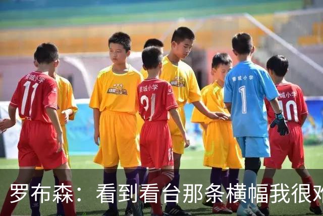 罗布森：看到看台那条横幅我很难过，我从不需要被提醒标准
