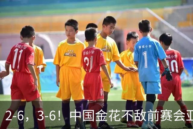 2-6，3-6！中国金花不敌前赛会亚军，止步WTA500宁波站女单首轮